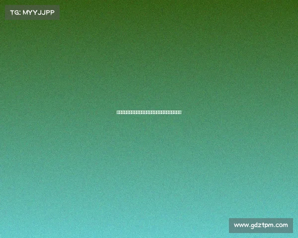 足球球员转会手续办理流程与注意事项解析及关键细节指导